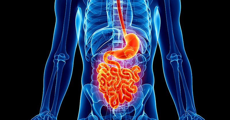 Gastrointestinal and Colorectal Surgery